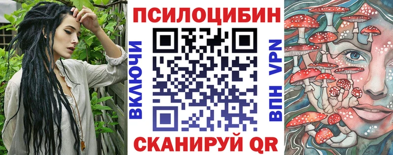 Псилоцибиновые грибы Psilocybine cubensis  Кологрив 