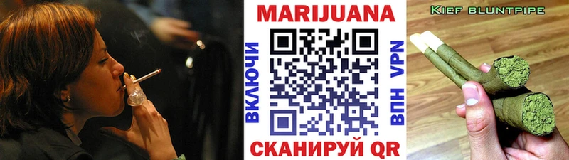Конопля планчик  цены   hydra зеркало  Кологрив 
